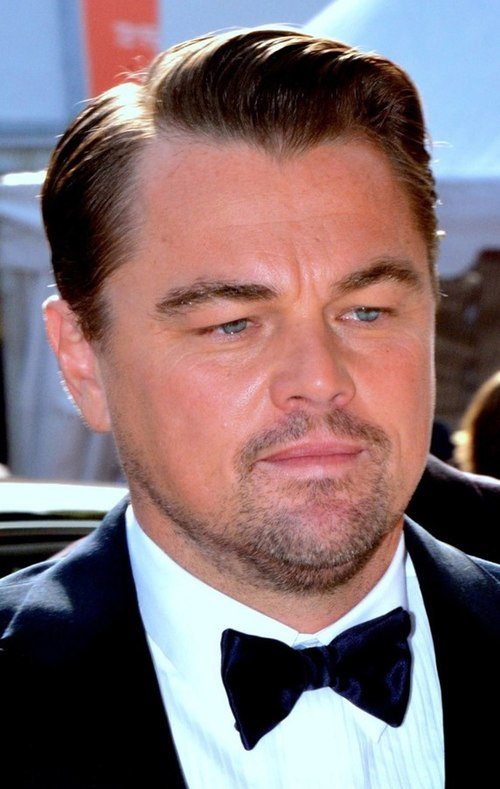 Preloaded avatar: Leonardo DiCaprio